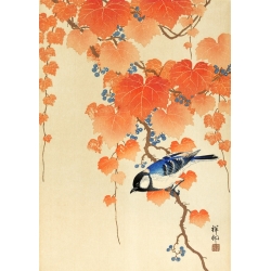 Tableau japonais. Ohara Koson, Grande mésange sur une branche