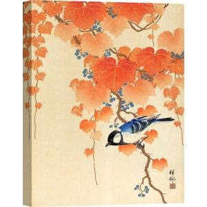 Quadro giapponese. Ohara Koson, Grande cincia su un ramo