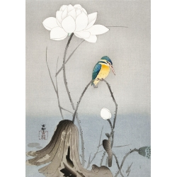 Japanische Kunst Bilder. Ohara Koson, Eisvogel mit Lotusblume
