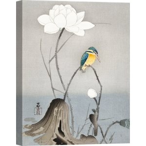 Cuadros japoneses. Ohara Koson, Martín Pescador con flor de loto