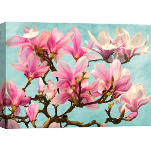 Wall art print, canvas, poster. Magnolia Branch (turquoise)