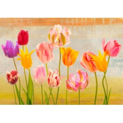 Quadro fiori, stampa su tela. Rizzardi, Tulipani d'estate
