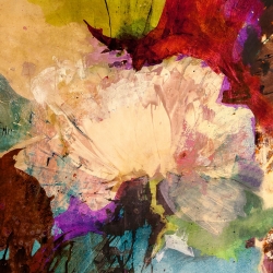 Wall art print and canvas. Jim Stone, Floating Flowers I (detail)