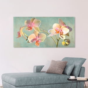 Blumenbilder auf Leinwand. Kunstdruck Luca Villa, Jewel Orchids