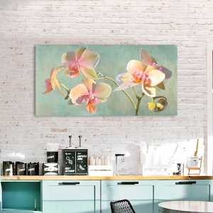 Blumenbilder auf Leinwand. Kunstdruck Luca Villa, Jewel Orchids