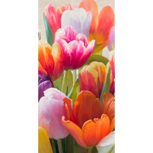 Quadro, stampa su tela fiori. Luca Villa, Tulipani in primavera II