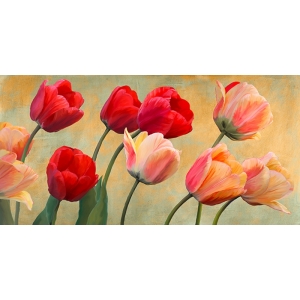 Wall art print and canvas. Luca Villa, Golden Tulips