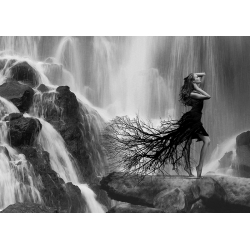 Tableau photo artistique noir et blanc. Lauren, Nature's Beauty