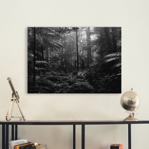 Wall art print and canvas. Pangea Images, In the Jungle