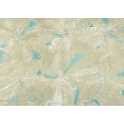 Cuadro hojas tropicales en lienzo. Eve C. Grant, Palm Panel