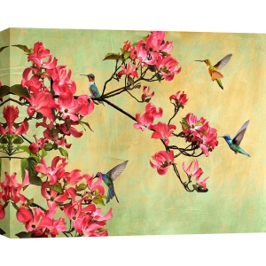 Wall art print, canvas. Kelly Parr, Hummingbirds on a flower branch