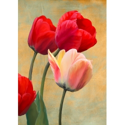Tableau fleur moderne sur toile. Luca Villa, Tulipes rouges