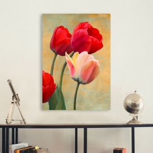 Quadro, stampa su tela con fiori. Luca Villa, Tulipani rossi