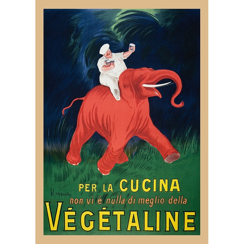 Vintage Poster, Bilder auf Leinwand. Leonetto Cappiello, Végétaline