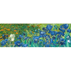 Kunstdruck und Leinwandbilder Vincent van Gogh, Irises (detail)