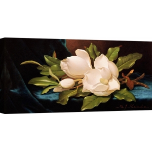 Quadro, stampa su tela. Martin Johnson Heade, Magnolie su un panno blu