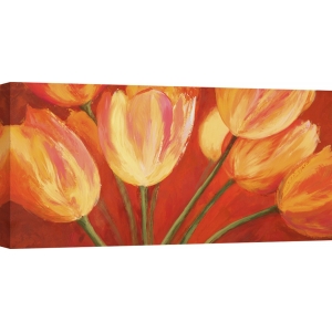 Tableau sur toile. Silvia Mei, Orange Tulips