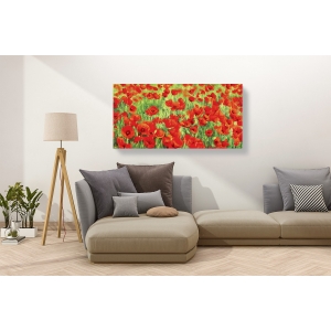 Tableau fleur sur toile. Silvia Mei, Champ de coquelicots