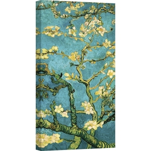 Wall art print and canvas. Vincent van Gogh, Almond blossom II