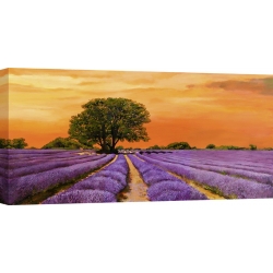 Wall art print and canvas. Valerio Sella, Field in the sunset