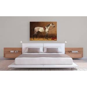 Wall art print and canvas. Emil Volkers, Saddled sport horse