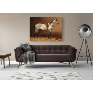 Wall art print and canvas. Emil Volkers, Saddled sport horse