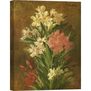 Wall art print and canvas. Pierre Adrien Chabal-Dussergey, Oleander with red and white flowers