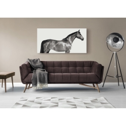 Wall art print and canvas. Pangea Images, Kingsman Cavalier, English Thoroughbred