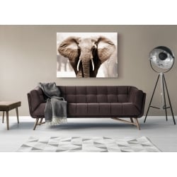 Quadro, stampa su tela. Elefante Africano