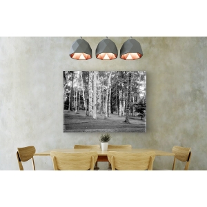 Wall art print and canvas. Among the birches