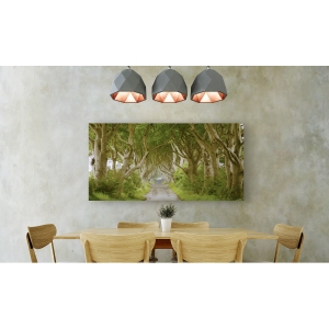 Wall art print and canvas. Pangea Images, The Dark Hedges tree lined road, Ireland