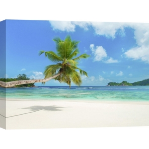 Cuadros naturaleza en canvas. Playa tropical, Seychelles (detalle)