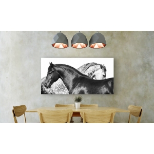 Leinwandbilder Pferde. Pangea Images, Lovers
