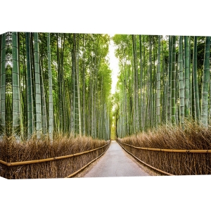 Leinwandbilder. Bambuswald, Kyoto, Japan