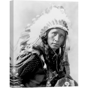 Quadro, stampa su tela. Indiani d'America – Indian wearing White War Bonnet, 1900