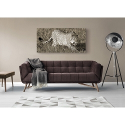 Wall art print and canvas. Pangea Images, Leopard hunting