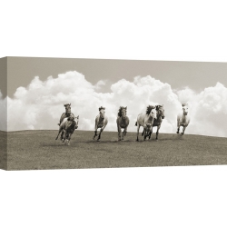Wall art print and canvas. Pangea Images, Herd of wild horses (BW)