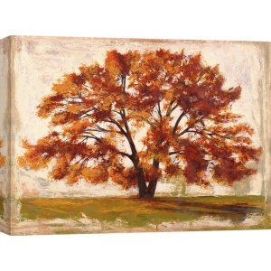 Cuadro árbol en canvas. Leonardo Bacci, Árbol de la mañana