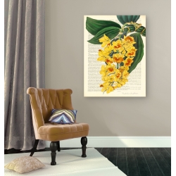 Wall art print and canvas. Remy Dellal, Vintage Botany III