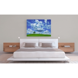 Wall art print and canvas. Krahmer, Oak and clouds, Bavaria, Germany