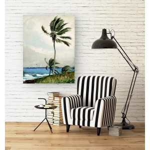 Cuadro en canvas. Winslow Homer, Palm Tree, Nassau