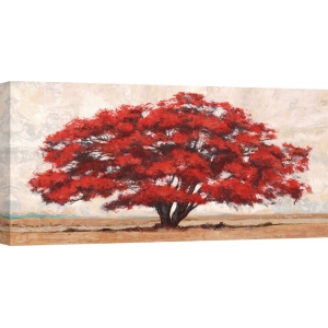 Cuadro árbol en canvas. Leonardo Bacci, Silva