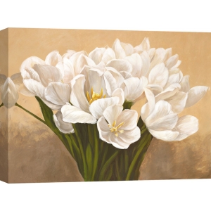 Cuadros de flores en canvas. Sanna, Tulipanes blancos