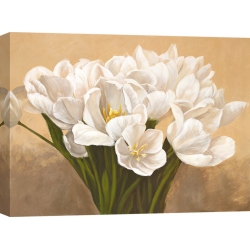 Quadro, stampa su tela. Leonardo Sanna, Tulipes blanches