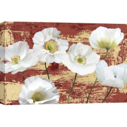 Wall art print and canvas. Leonardo Sanna, Washed Poppies (Red & Gold)