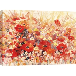 Quadro, stampa su tela. Luigi Florio, Campo di fiori