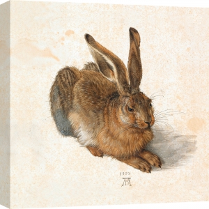 Tableau toile, affiche, poster de Albrecht Dürer, Le Lièvre
