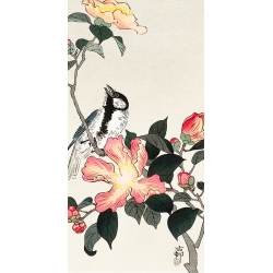Kunstdruck, Poster Ohara Koson, Kohlmeise auf Zweig mit rosa Blüten