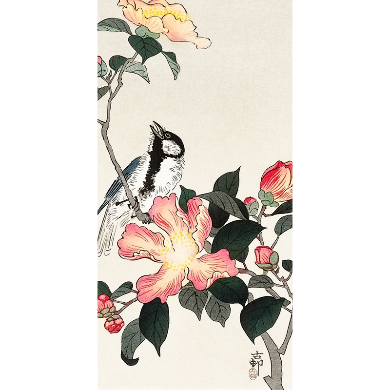 Stampa giapponese. Ohara Koson, Cinciallegra su un ramo di fiori rosa