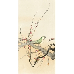 Kunstdruck, Poster Ohara Koson, Singvogel, einem blühenden Zweig